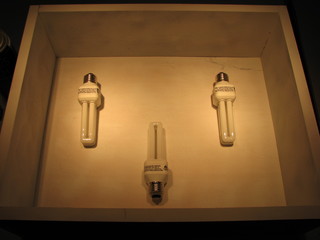 lightbox compact flourescent bulbs